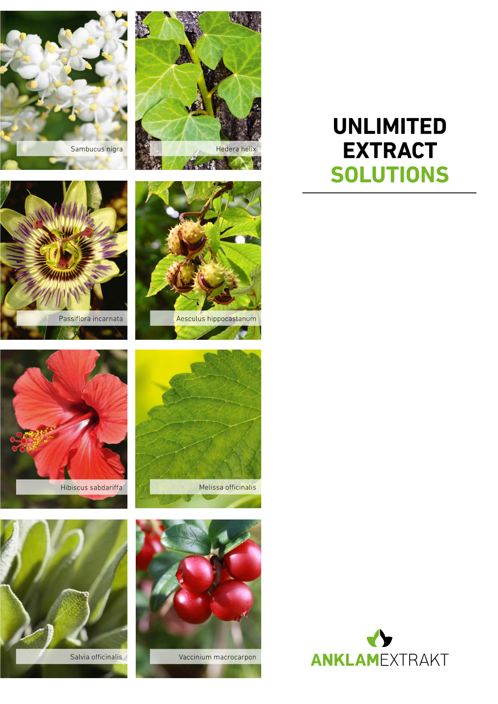 Unlimited Extract Solutions – We Develop What You Need