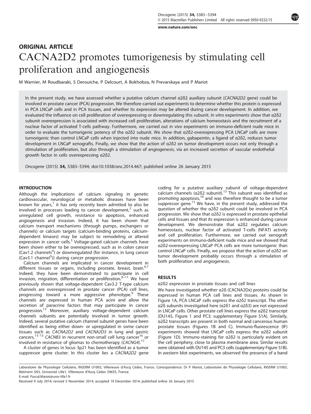 CACNA2D2 Promotes Tumorigenesis by Stimulating Cell Proliferation and Angiogenesis