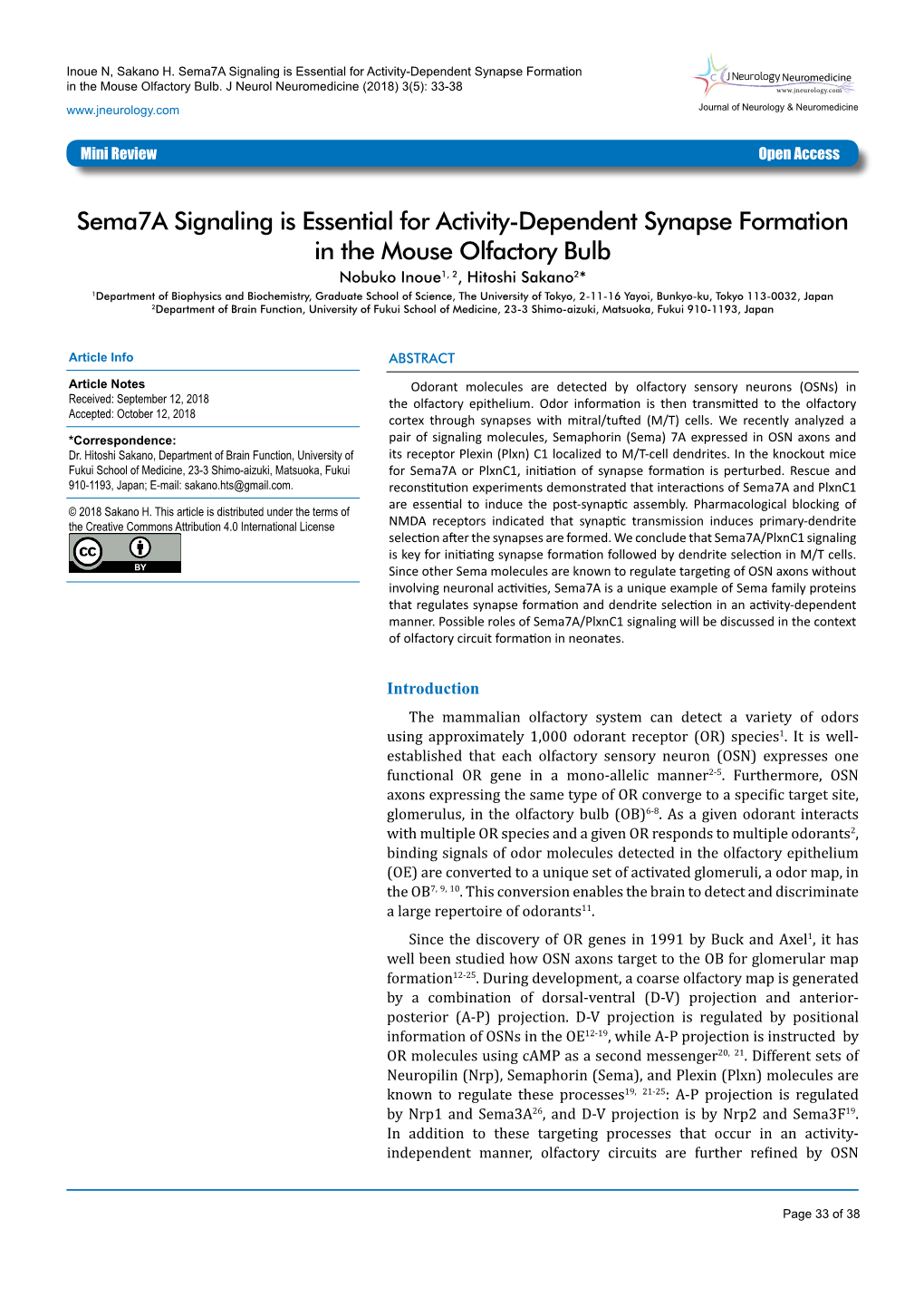 Sema7a Signaling Is Essential for Activity-Dependent Synapse Formation Neuromedicine in the Mouse Olfactory Bulb