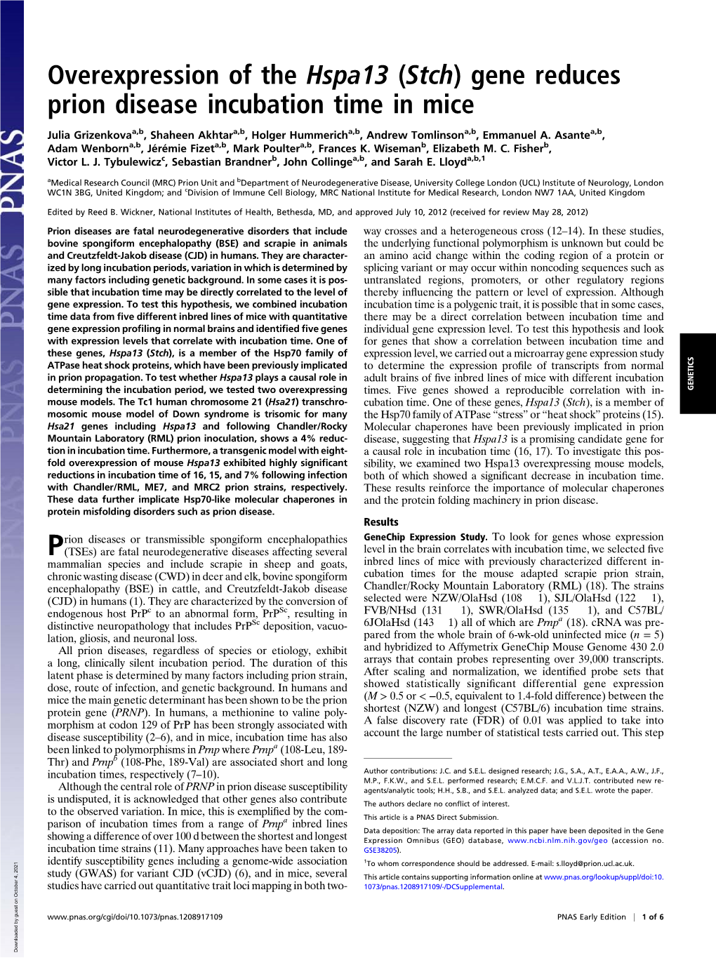 Overexpression of the Hspa13 (Stch) Gene Reduces Prion Disease Incubation Time in Mice