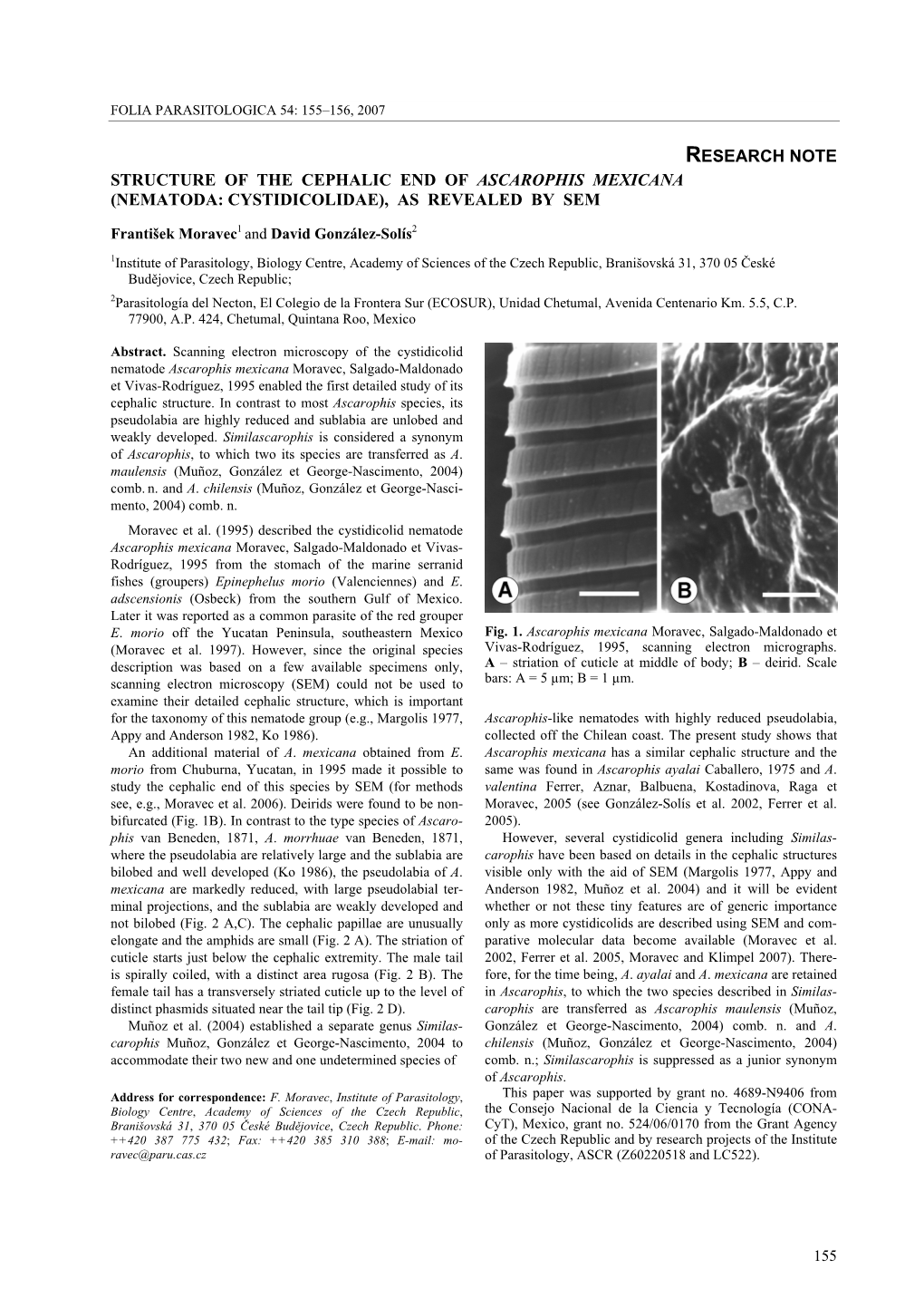 Nematoda: Cystidicolidae), As Revealed by Sem