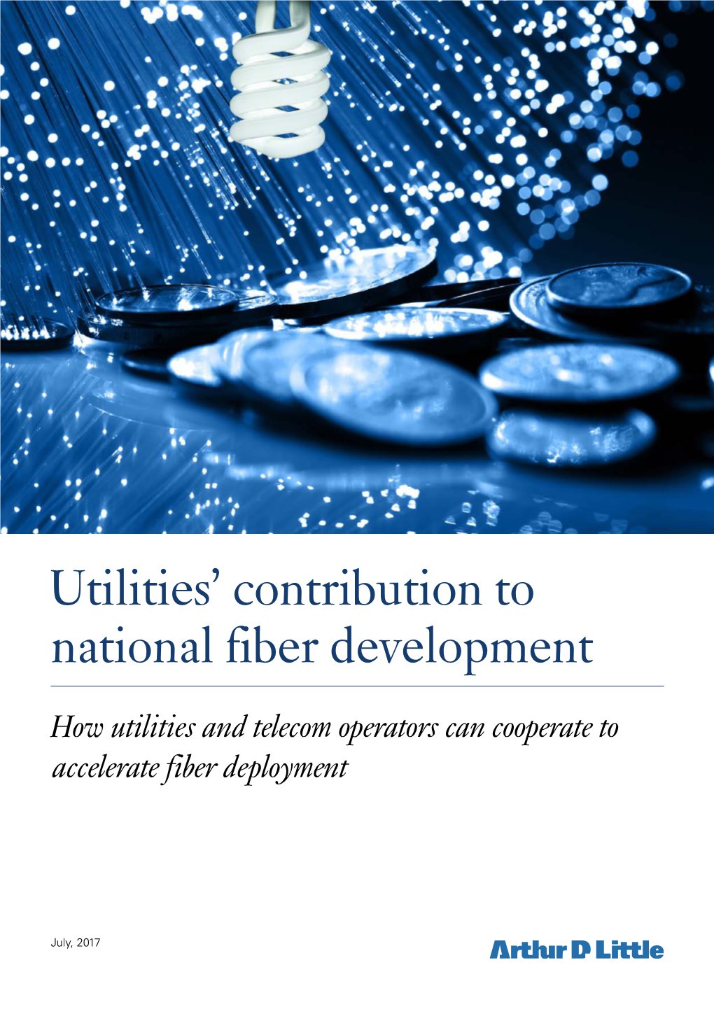 Utilities' Contribution to National Fiber Development