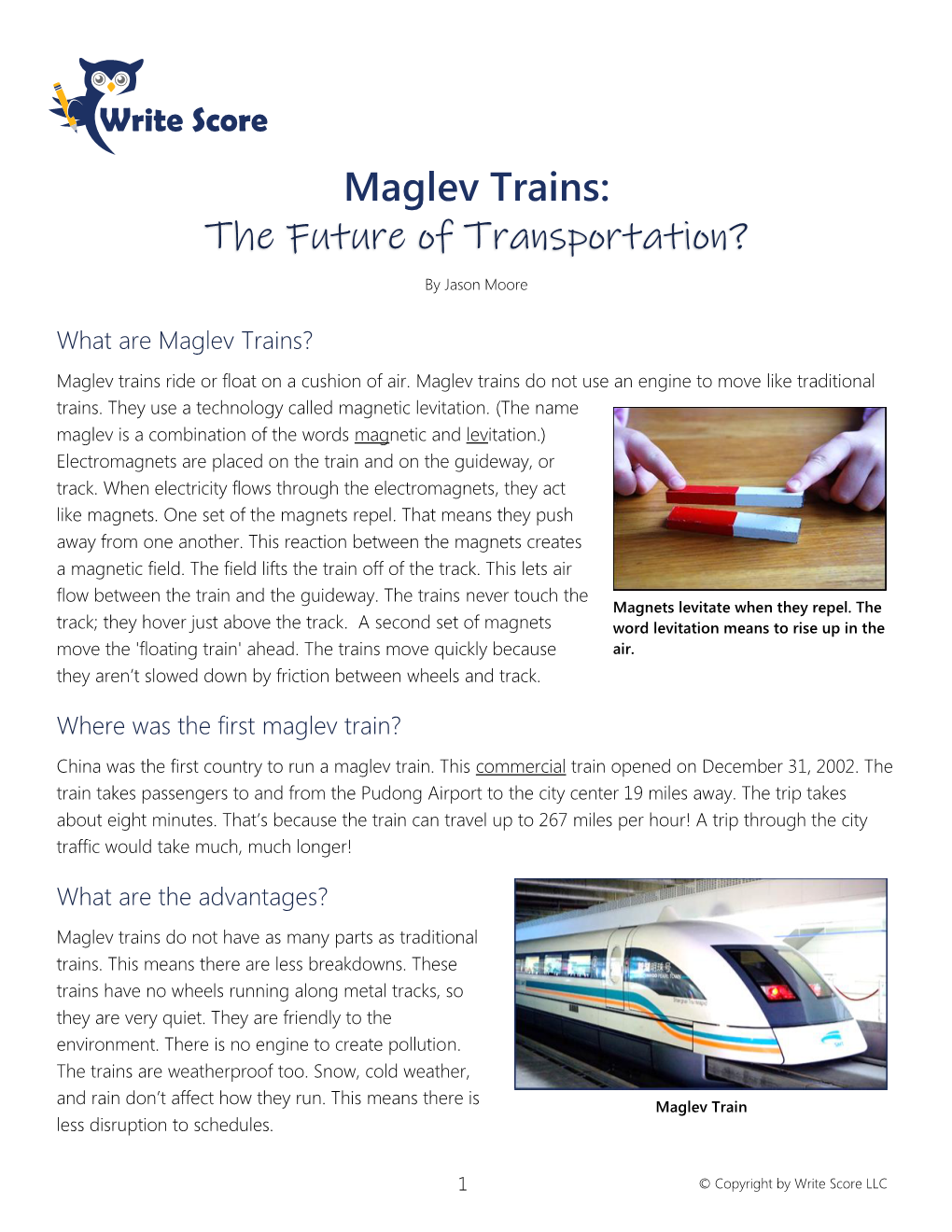 Maglev Trains: the Future of Transportation?