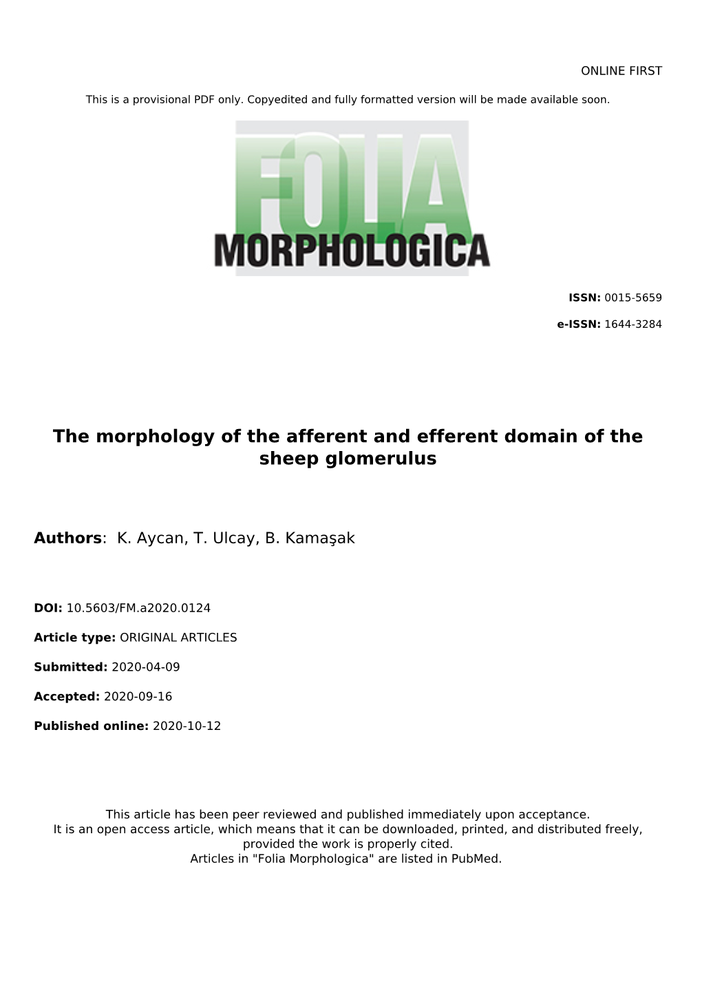 The Morphology of the Afferent and Efferent Domain of the Sheep Glomerulus