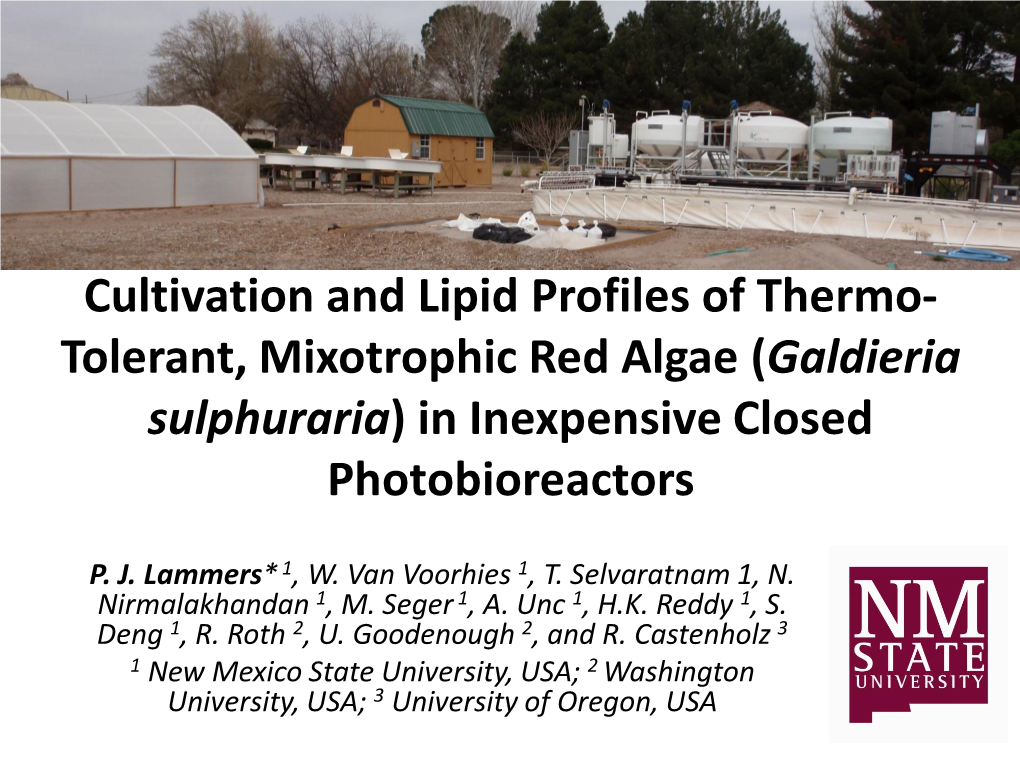 Galdieria Sulphuraria) in Inexpensive Closed Photobioreactors