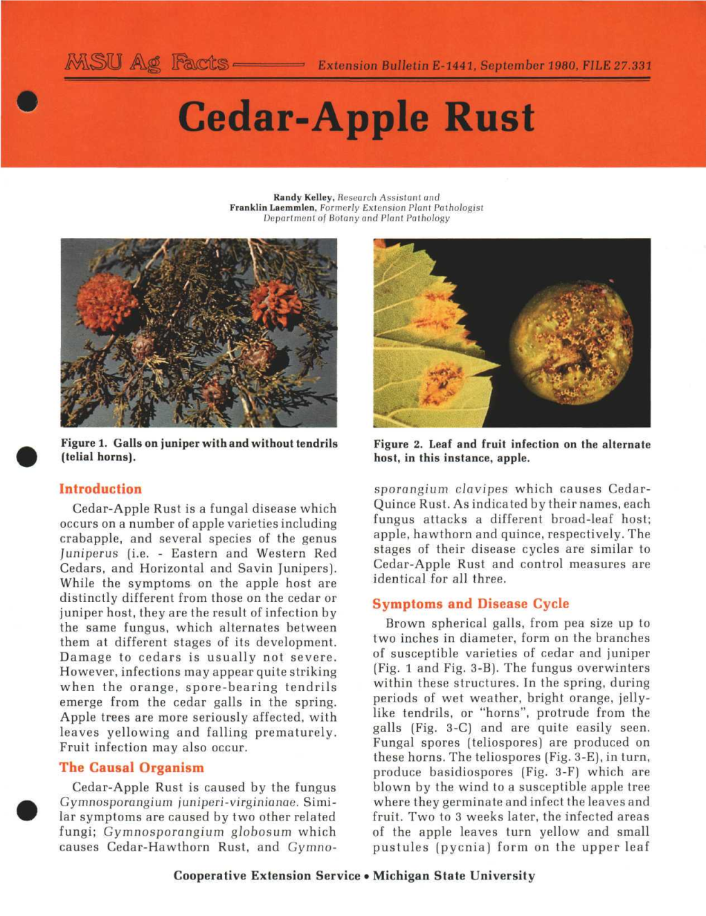 Cedar-Apple Rust