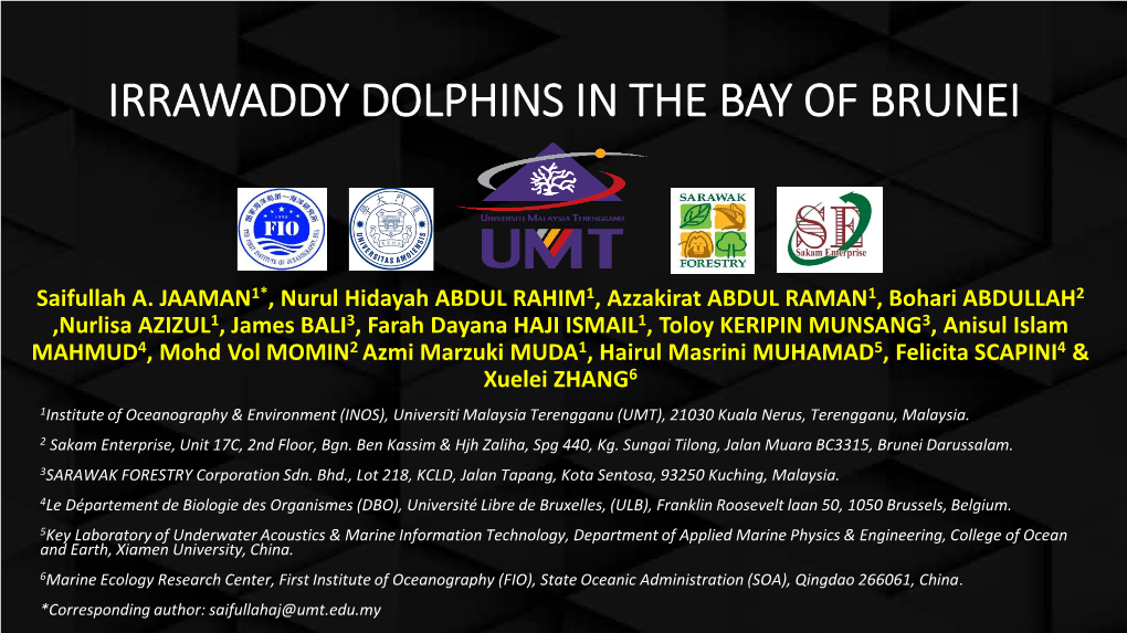 Irrawaddy Dolphins in the Bay of Brunei
