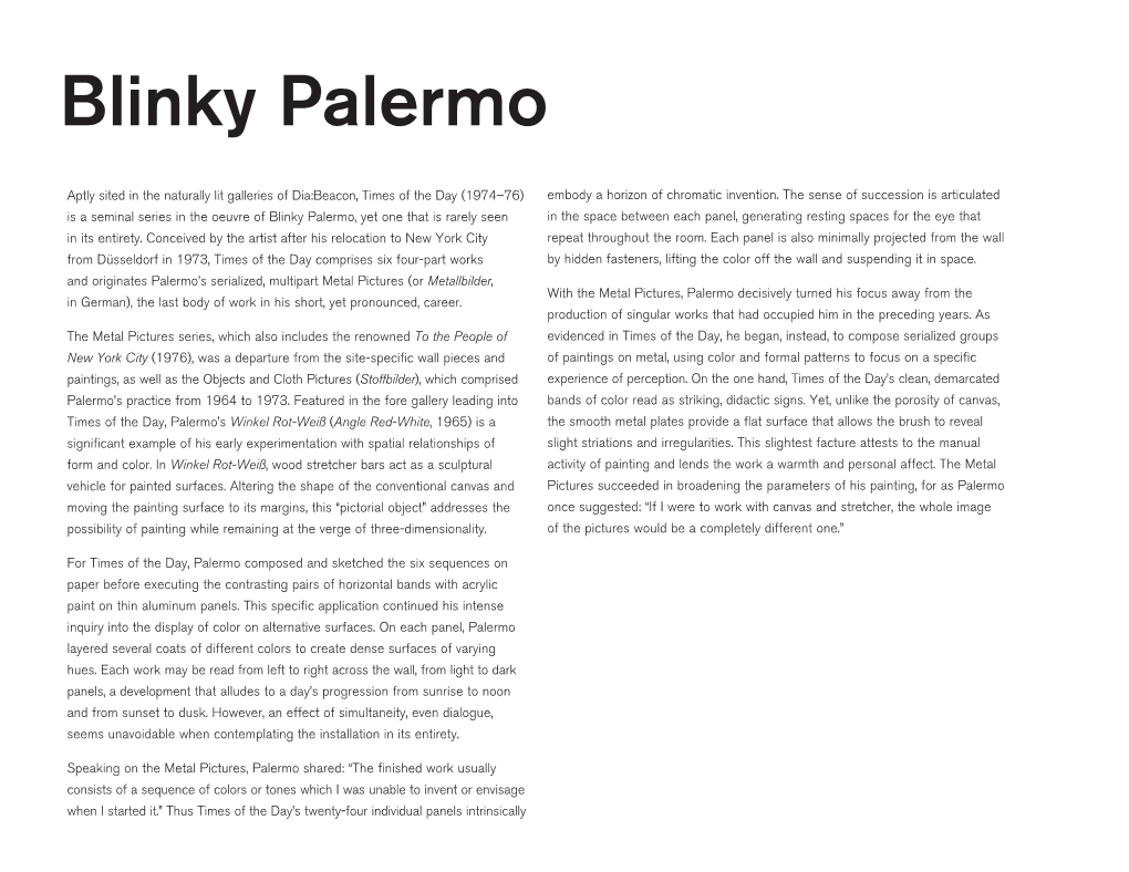 Blinky Palermo.Pdf