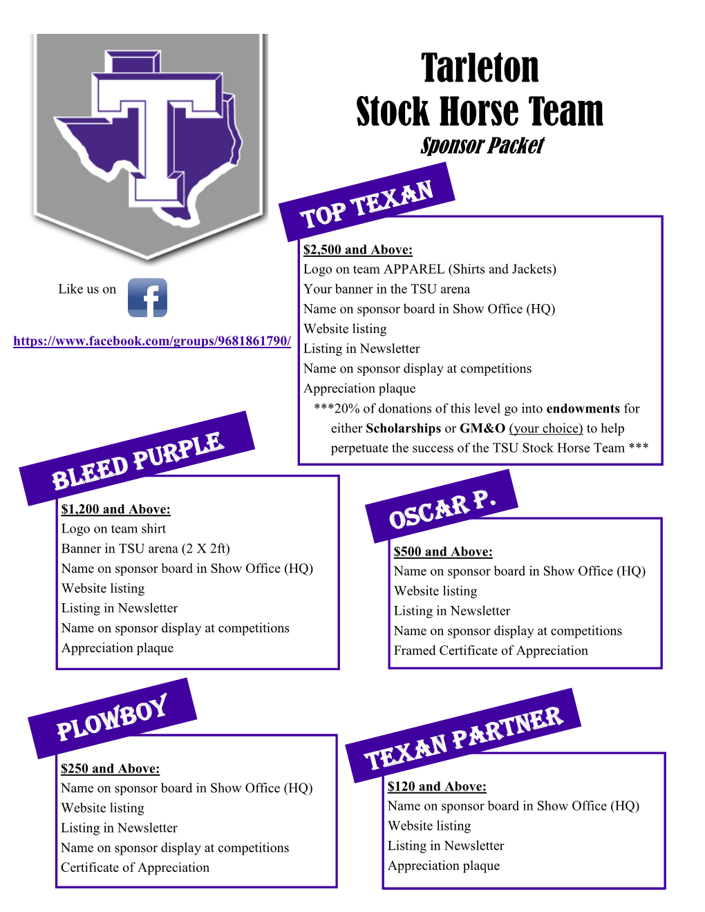 Tarleton Stock Horse Team