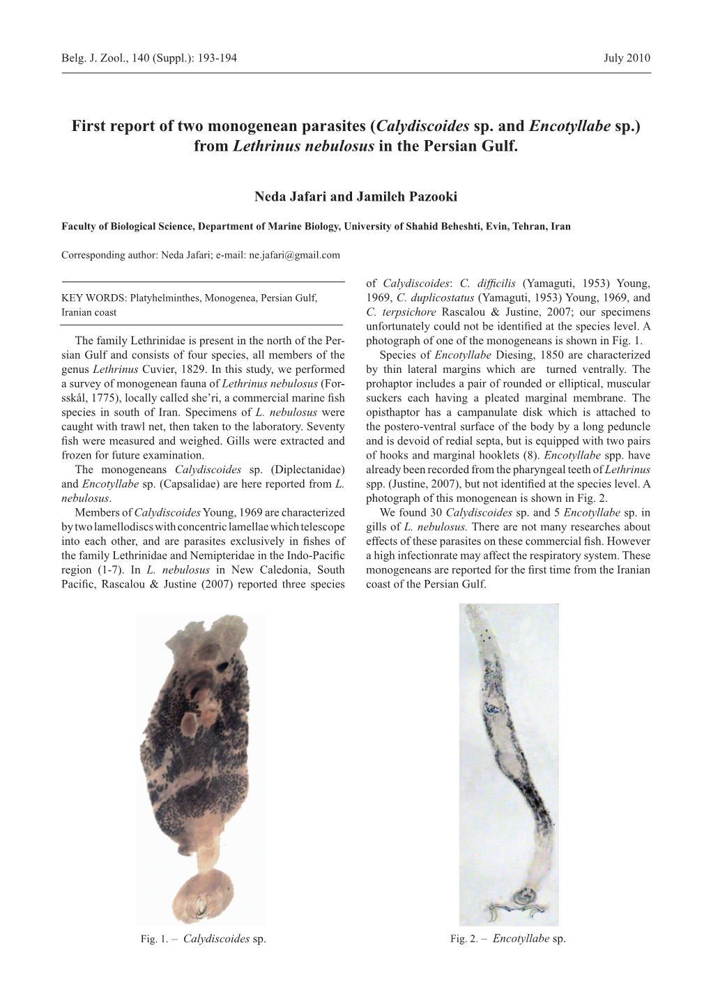 First Report of Two Monogenean Parasites (Calydiscoides Sp. and Encotyllabe Sp.) from Lethrinus Nebulosus in the Persian Gulf