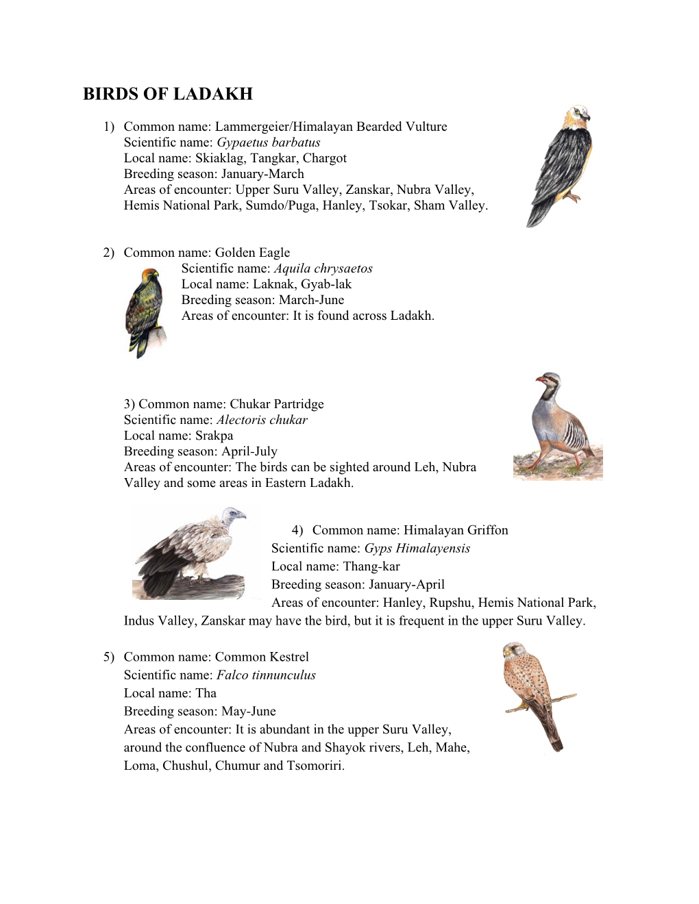 Birds of Ladakh