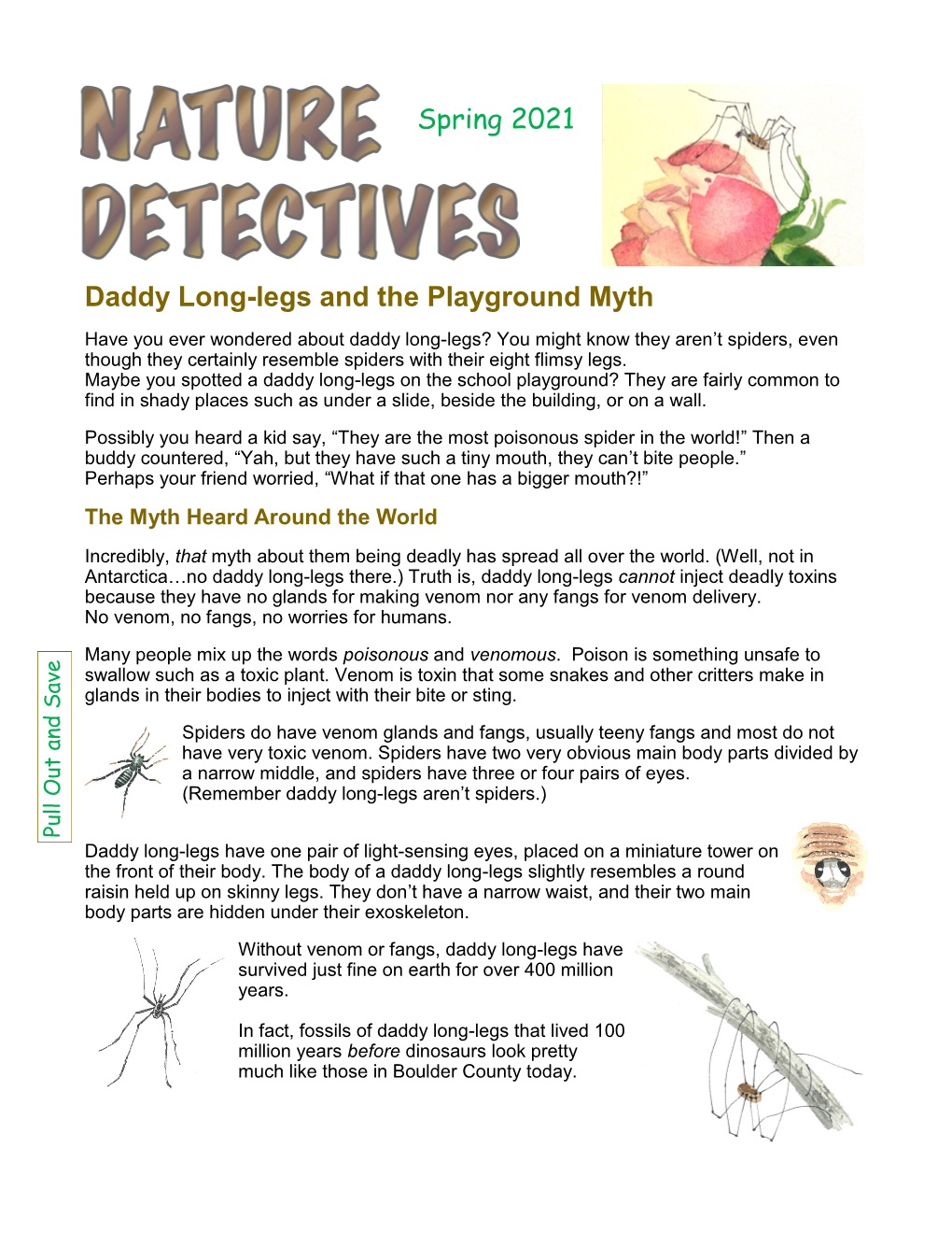 Daddy Long-Legs and the Playground Myth