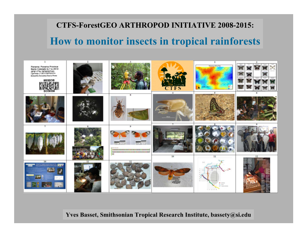 How to Monitor Insects in Tropical Rainforests