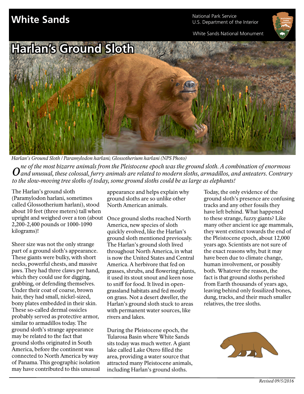 Harlan's Ground Sloth