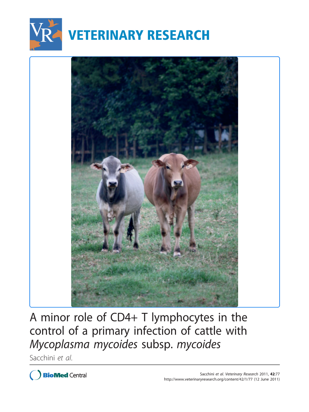 Mycoplasma Mycoides Subsp