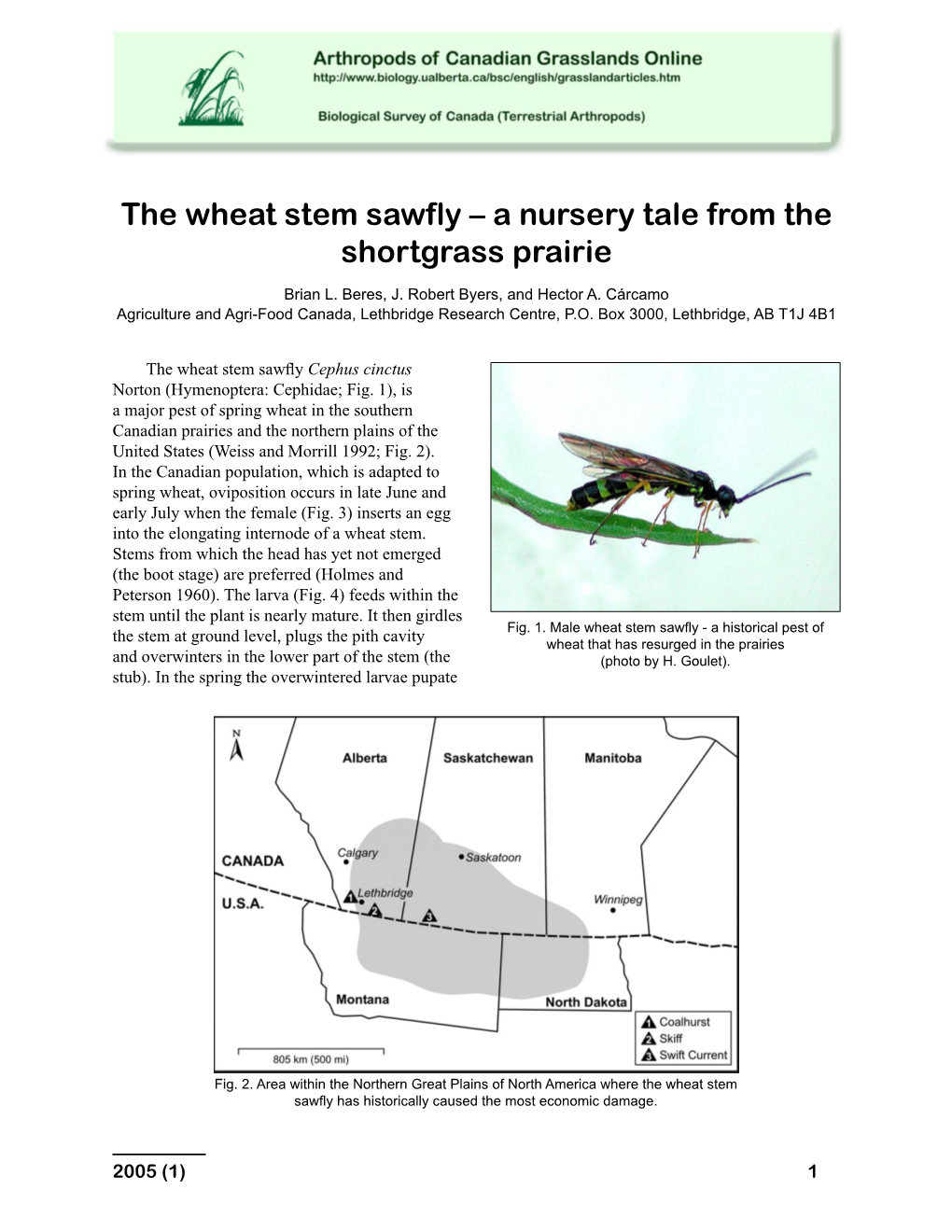 The Wheat Stem Sawfly – a Nursery Tale from the Shortgrass Prairie