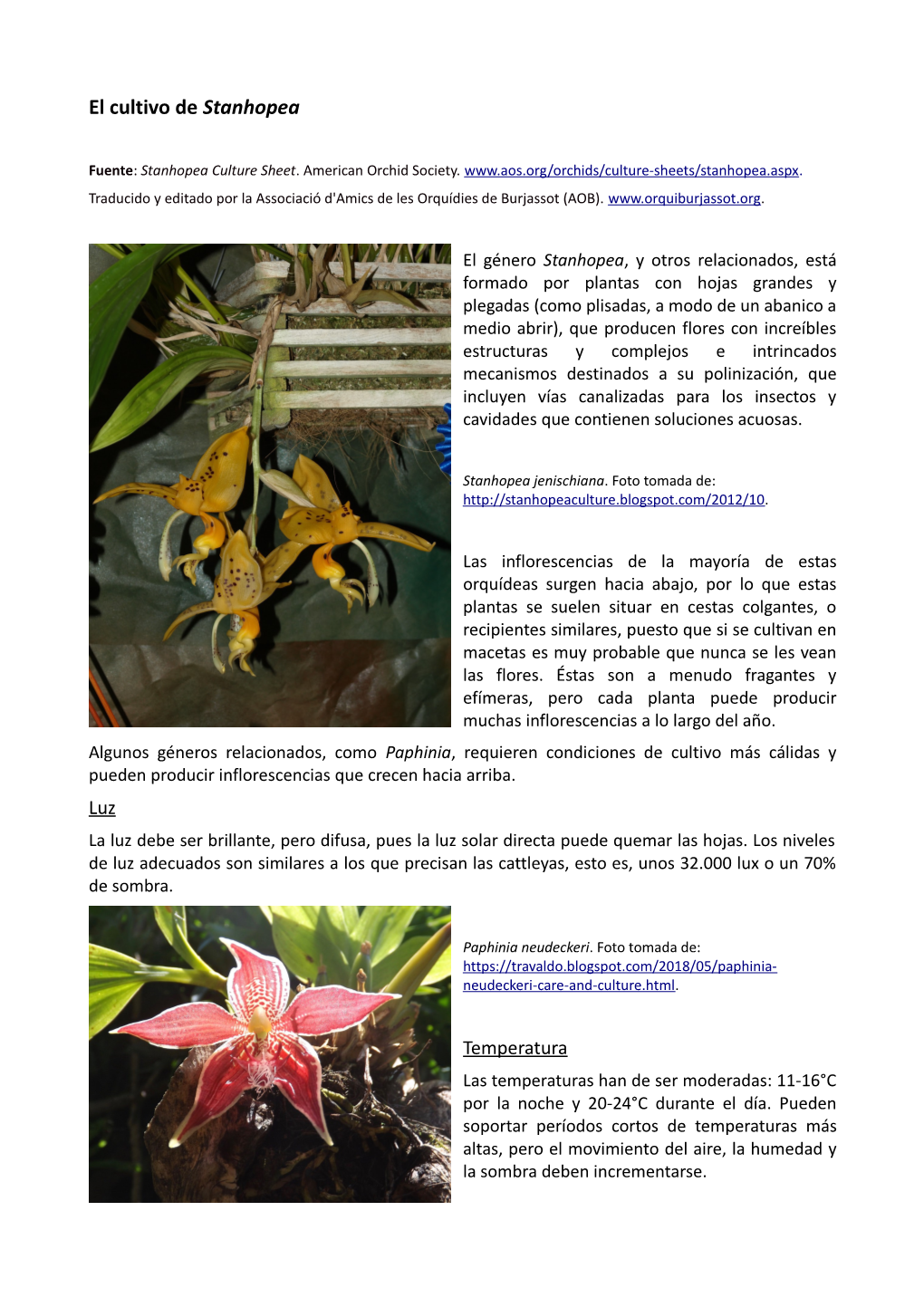 El Cultivo De Stanhopea