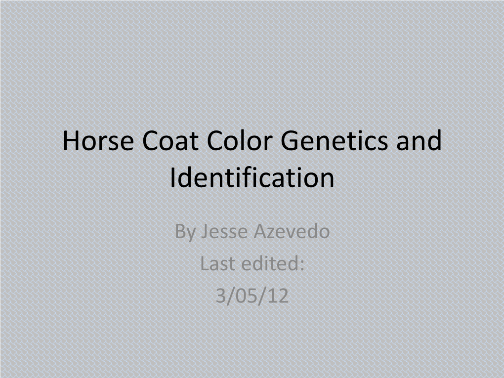 Horse Coat Color Genetics and Identification