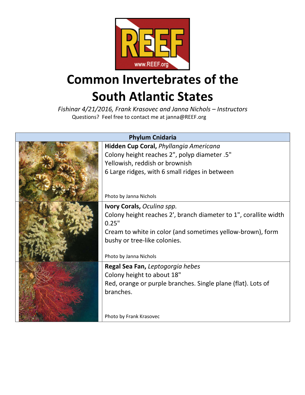 Common Invertebrates of the South Atlantic States