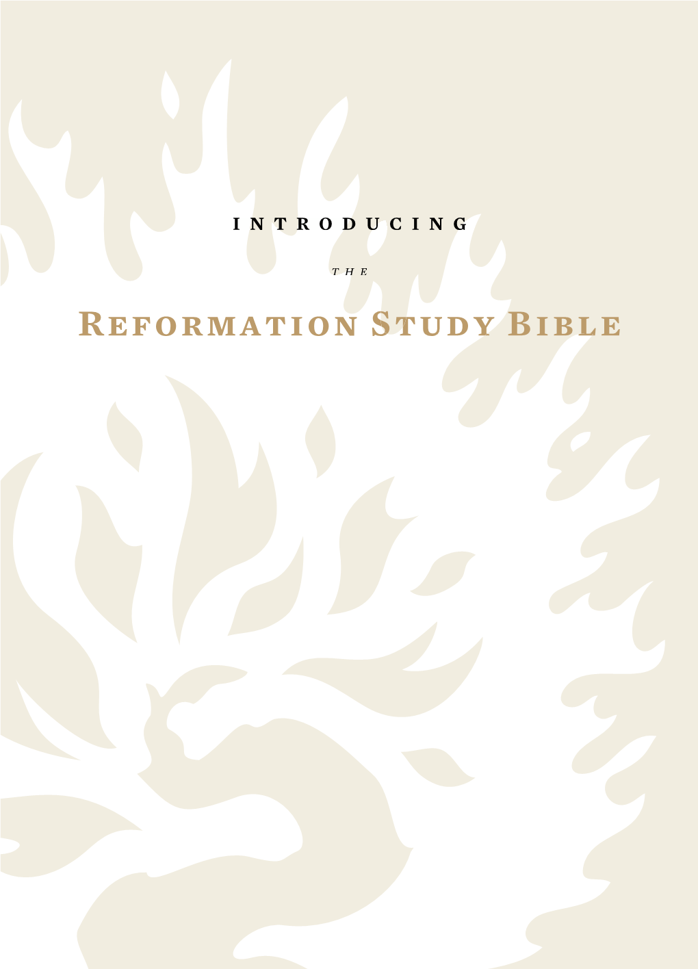 Reformation Study Bible with You