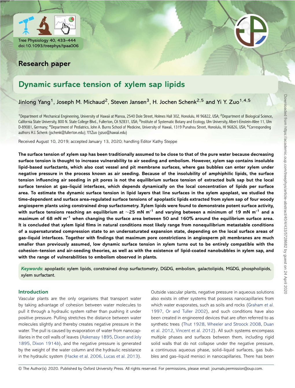 Dynamic Surface Tension of Xylem Sap Lipids