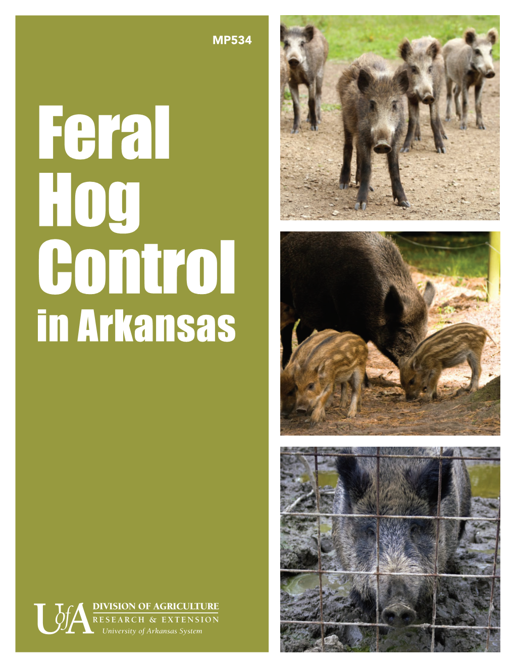 Feral Hog Control in Arkansas