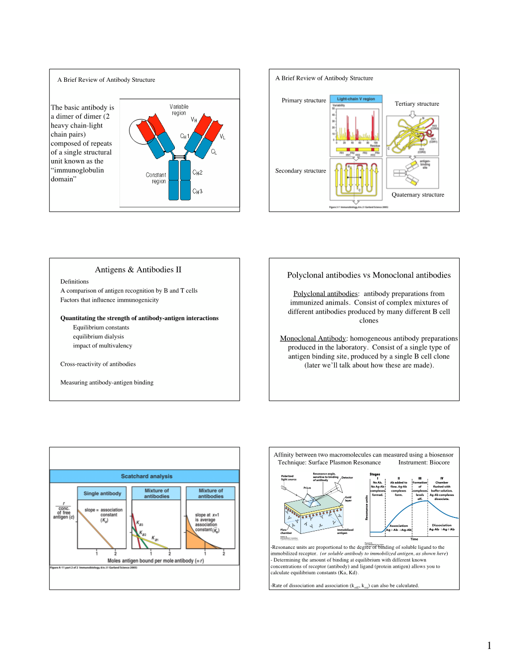 Antigens & Antibodies II Polyclonal Antibodies Vs Monoclonal Antibodies