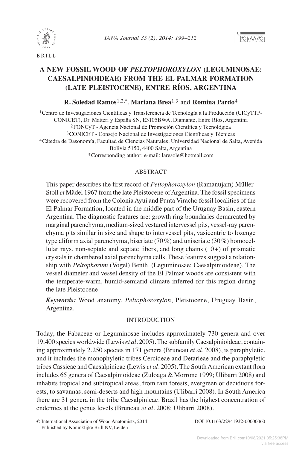 A New Fossil Wood of Peltophoroxylon (Leguminosae: Caesalpinioideae) from the El Palmar Formation (Late Pleistocene), Entre Ríos, Argentina