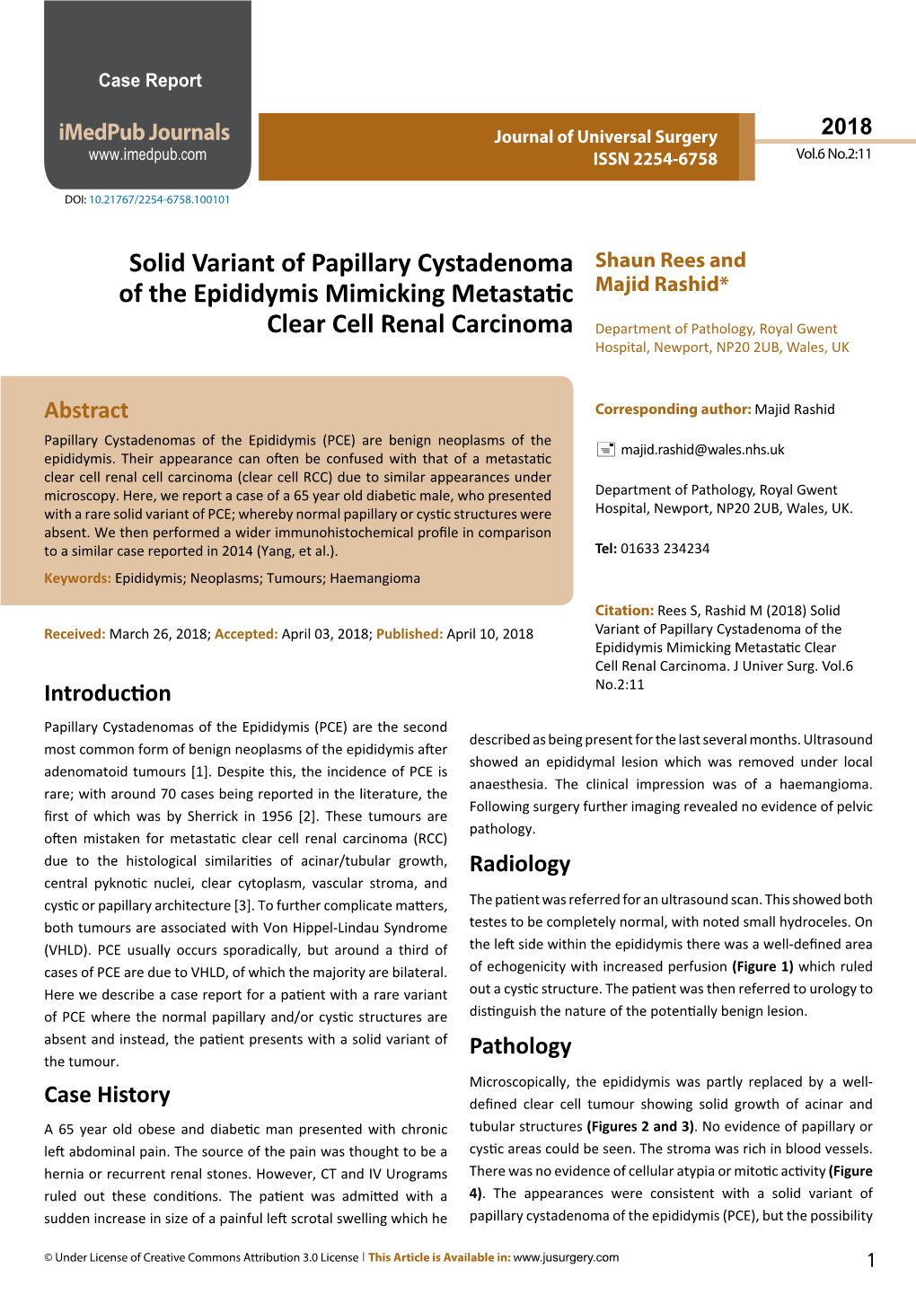 Solid Variant of Papillary Cystadenoma of the Epididymis