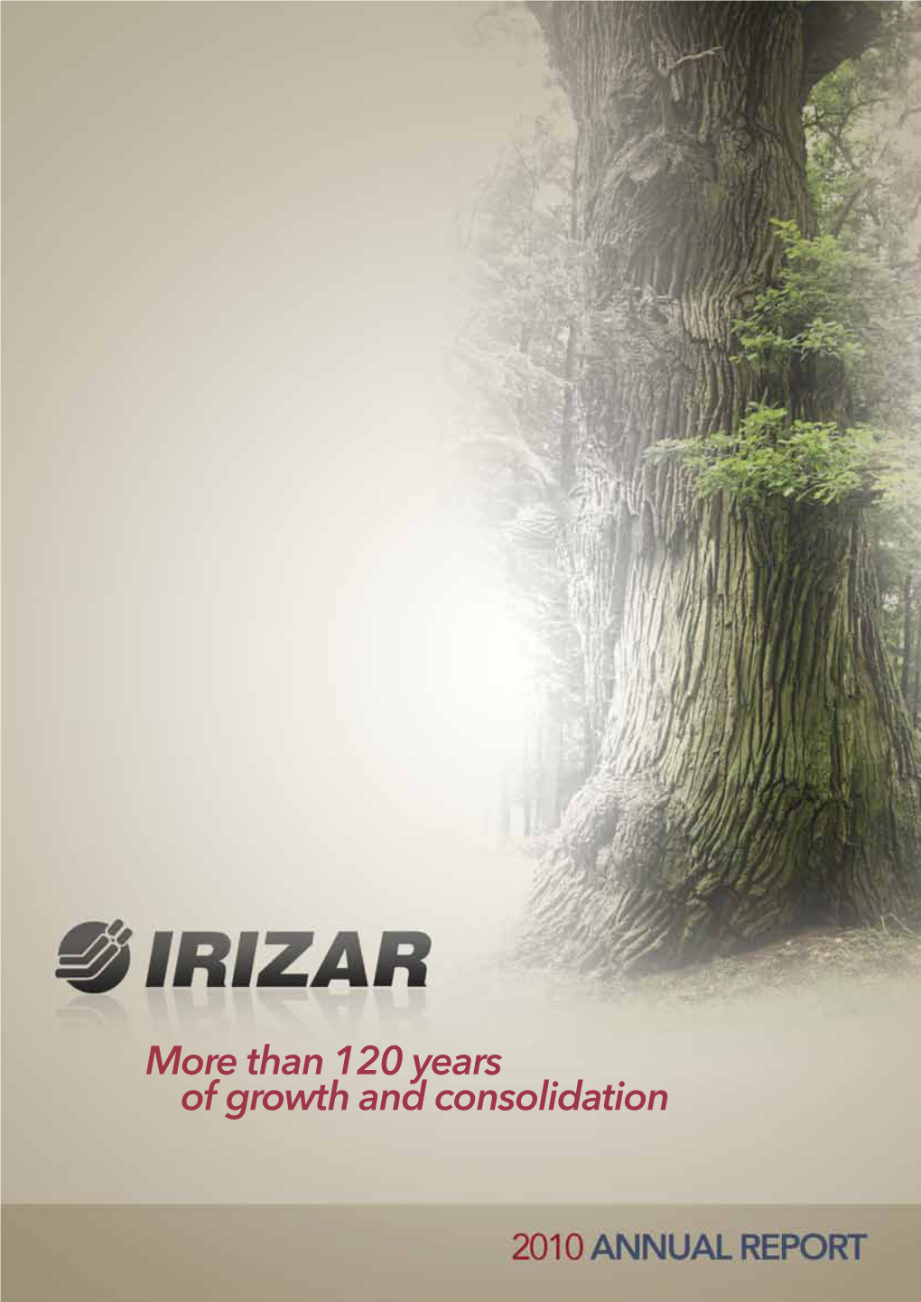 More Than 120 Years of Growth and Consolidation Message from the 2010 Annual Report General Director in Figures