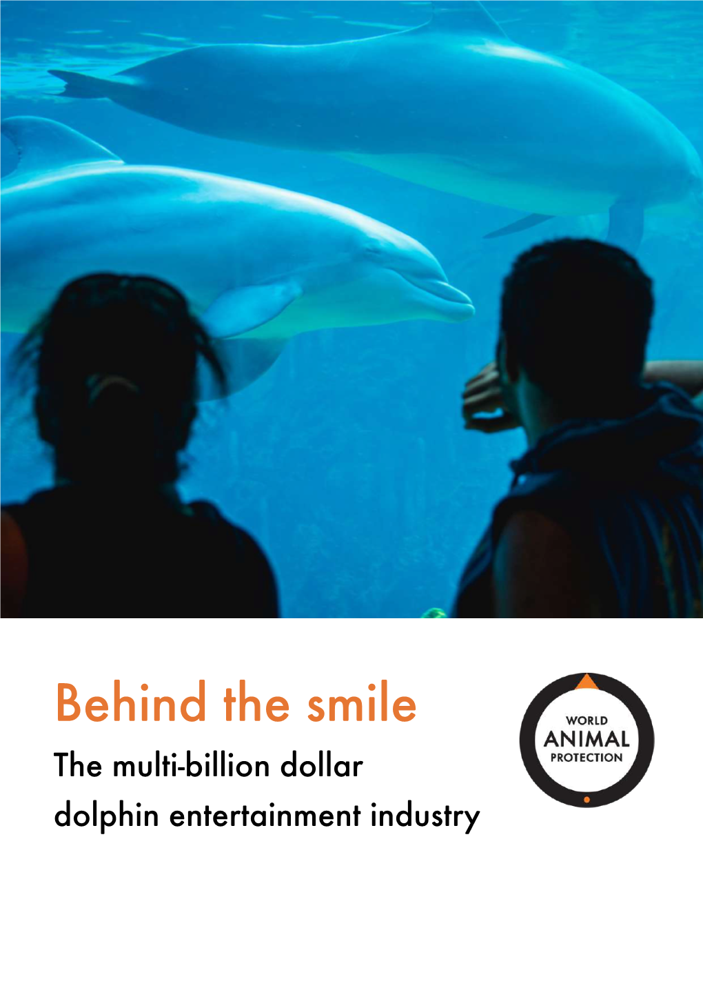 Behind the Smile the Multi-Billion Dollar Dolphin Entertainment Industry Co Ntents