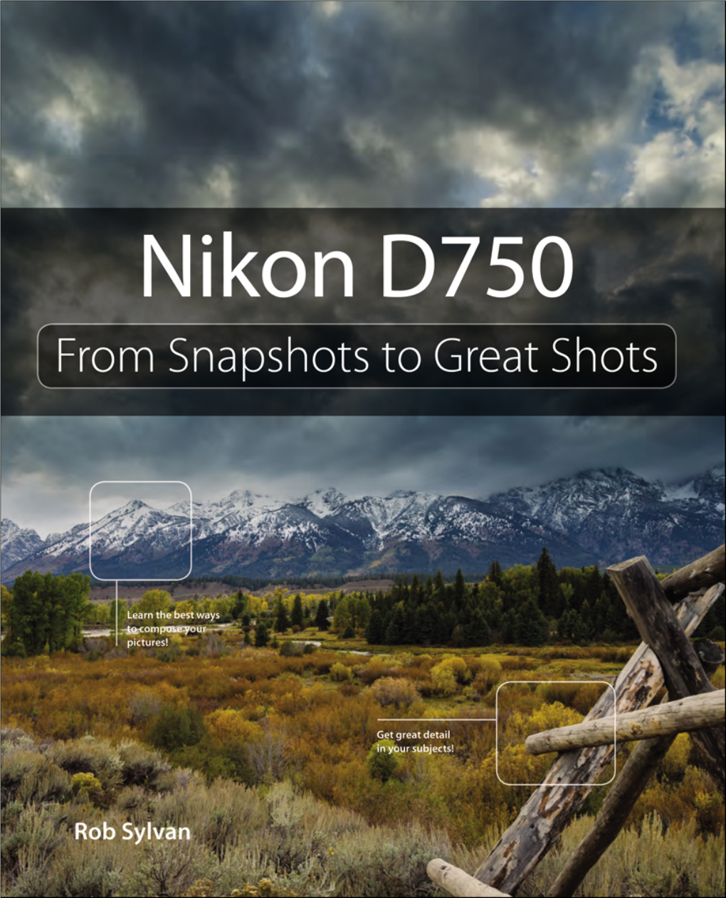Nikon D750 from Snapshots to Great Shots
