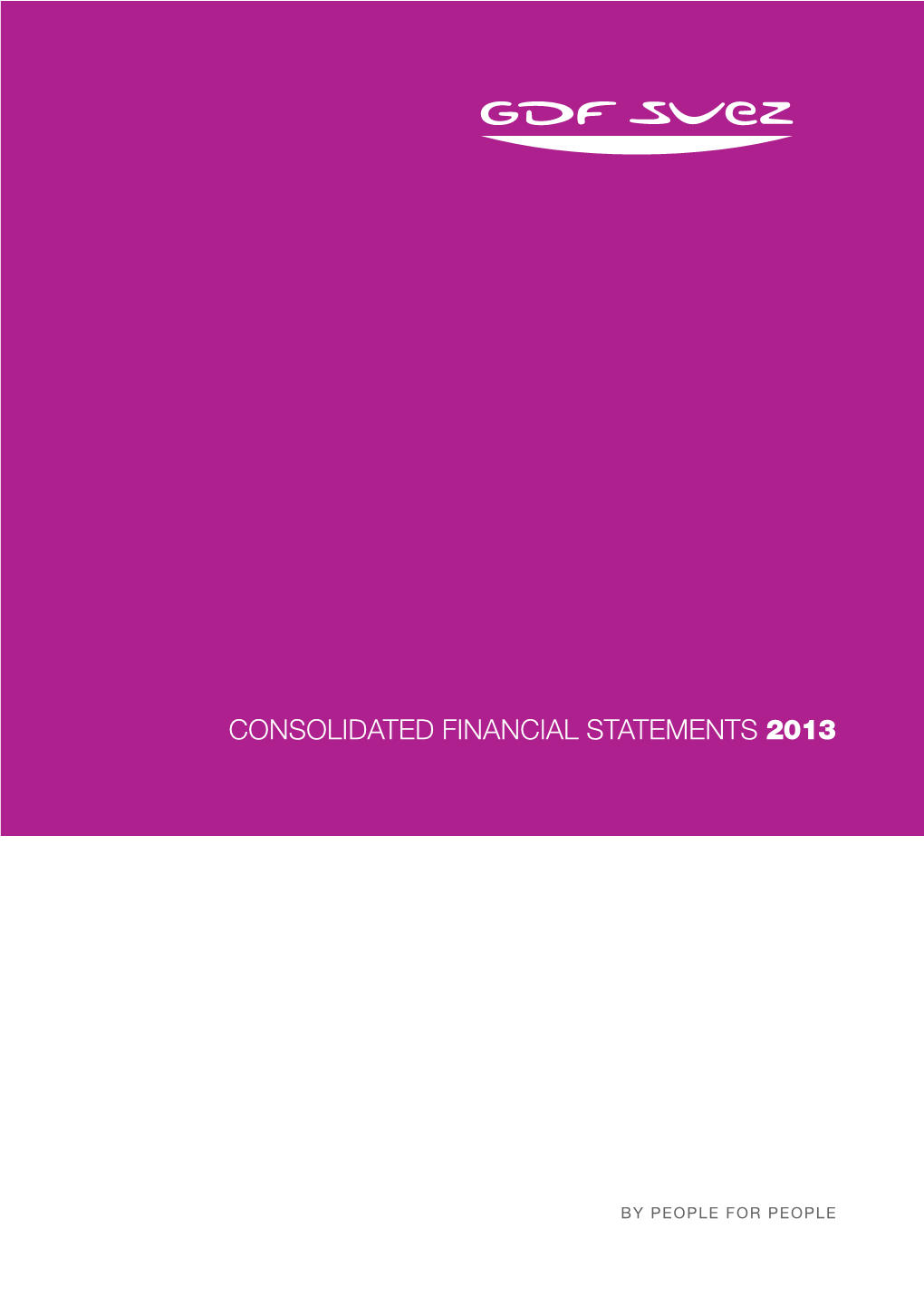 2013 Consolidated Financial Statements and Activities Report