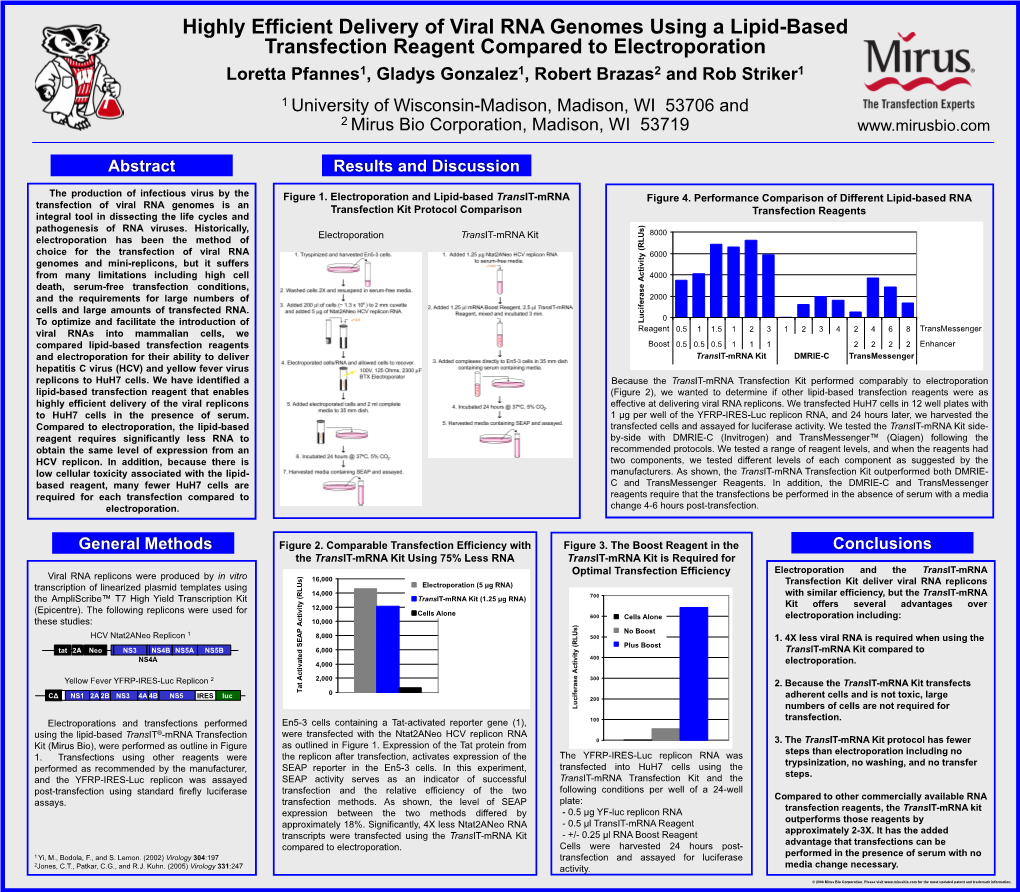 Highly Efficient Delivery of Viral RNA Genomes Using a Lipid-Based