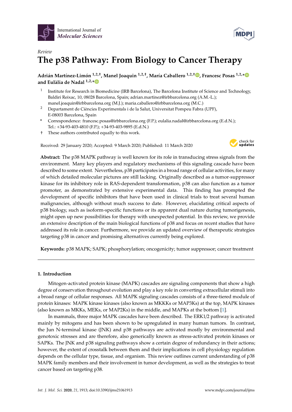 The P38 Pathway: from Biology to Cancer Therapy