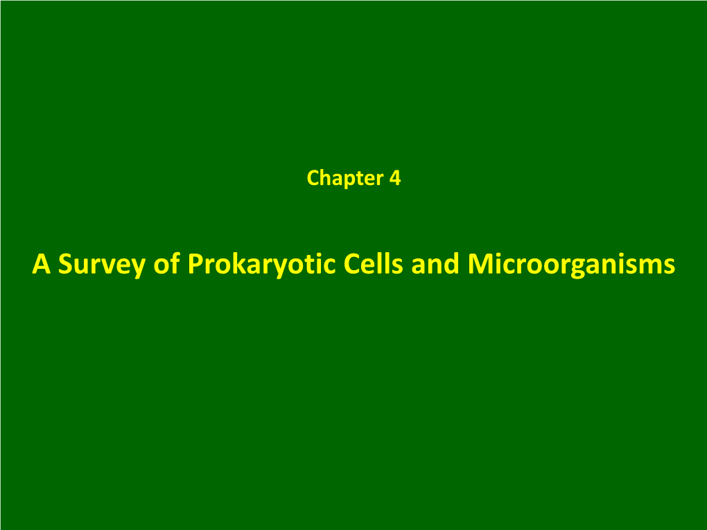 A Survey of Prokaryotic Cells and Microorganisms Characteristics of Cells and Life