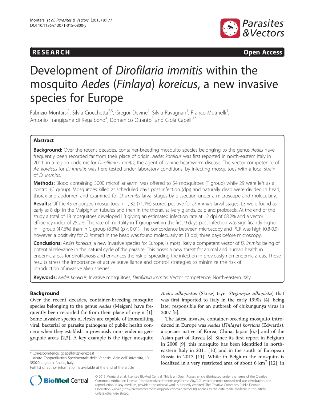 Development of Dirofilaria Immitis Within the Mosquito Aedes (Finlaya)