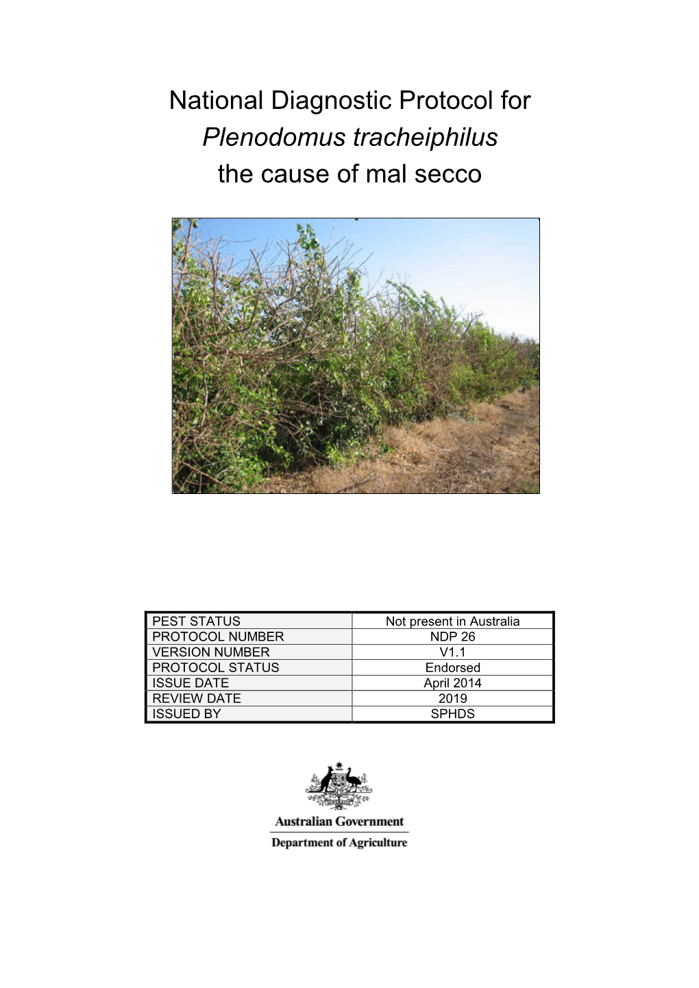 National Diagnostic Protocol for Plenodomus Tracheiphilus the Cause of Mal Secco