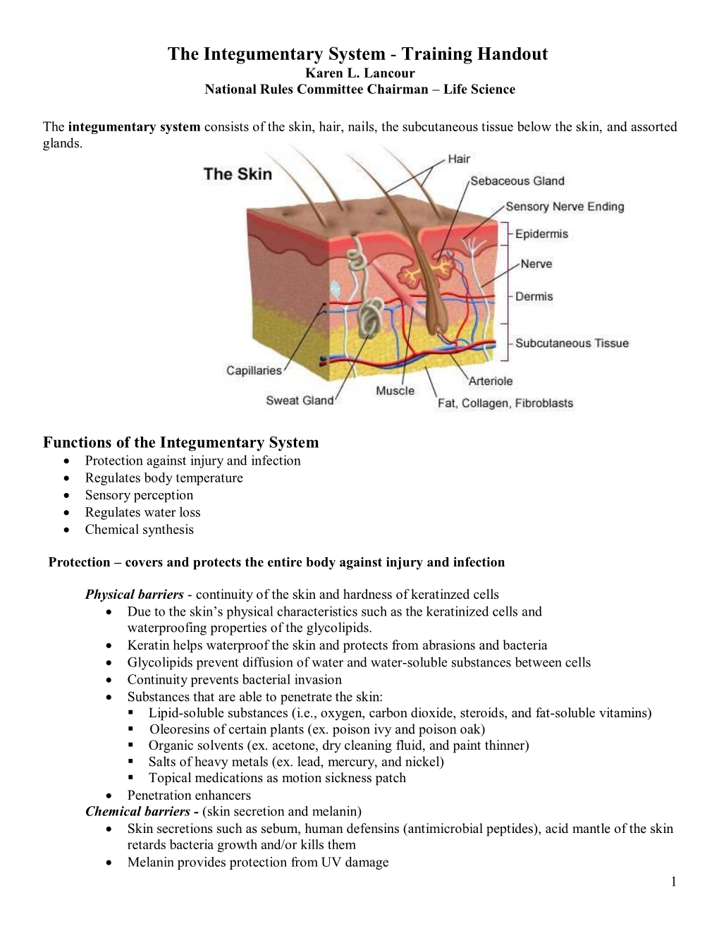 The Integumentary System - Training Handout Karen L