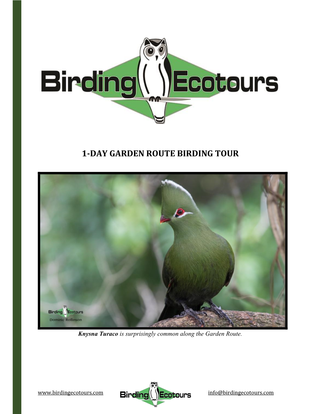 1-Day Garden Route Birding Tour