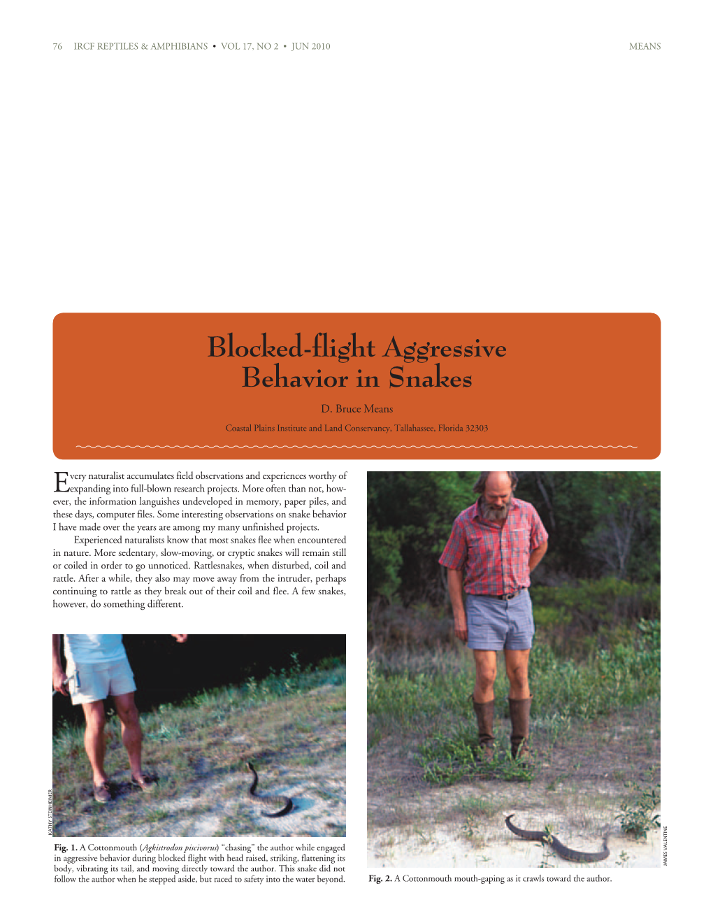 Blocked-Flight Aggressive Behavior in Snakes