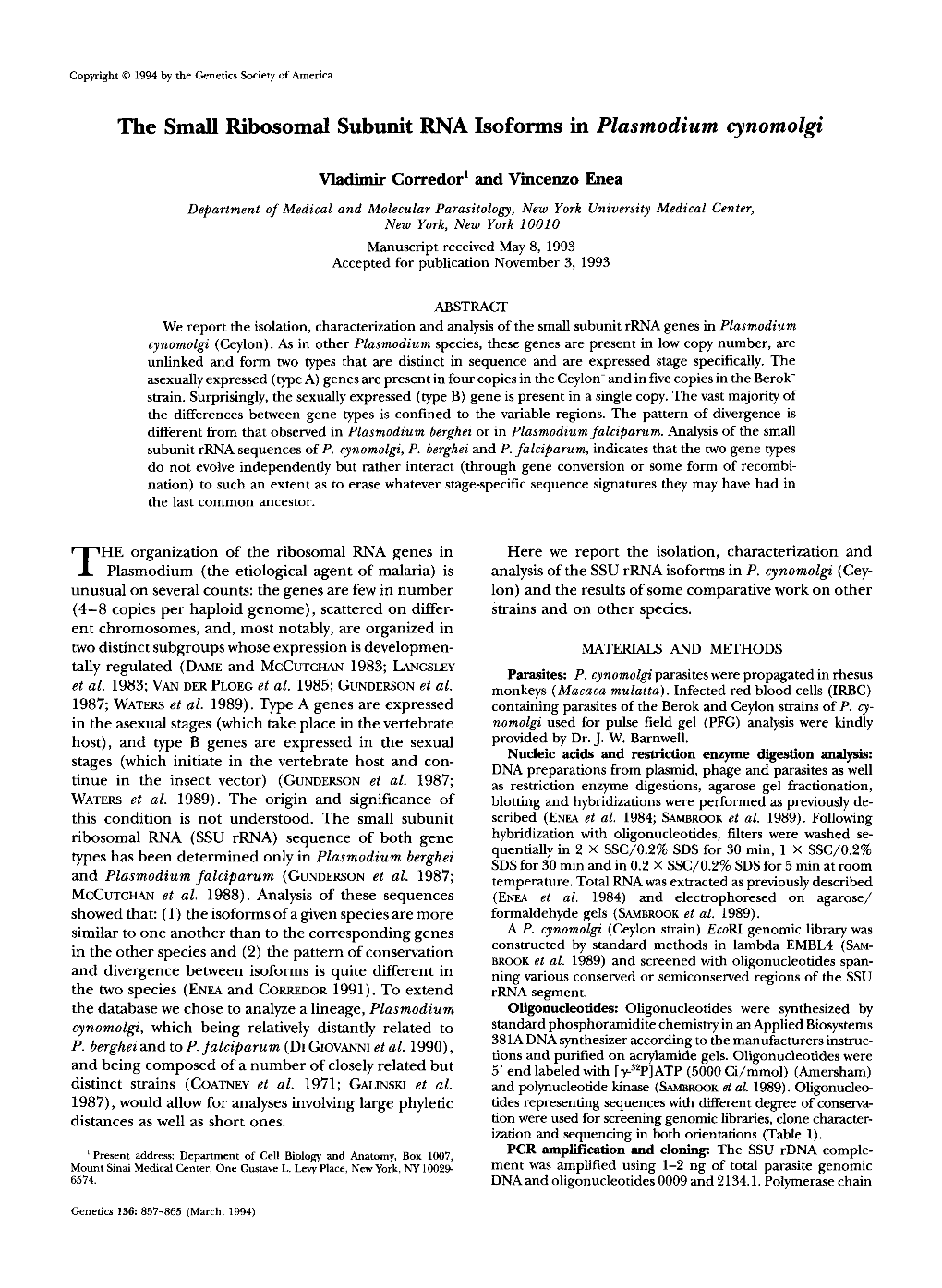 The Small Ribosomal Subunit RNA Isoforms in Plasmodium Cynomolgi