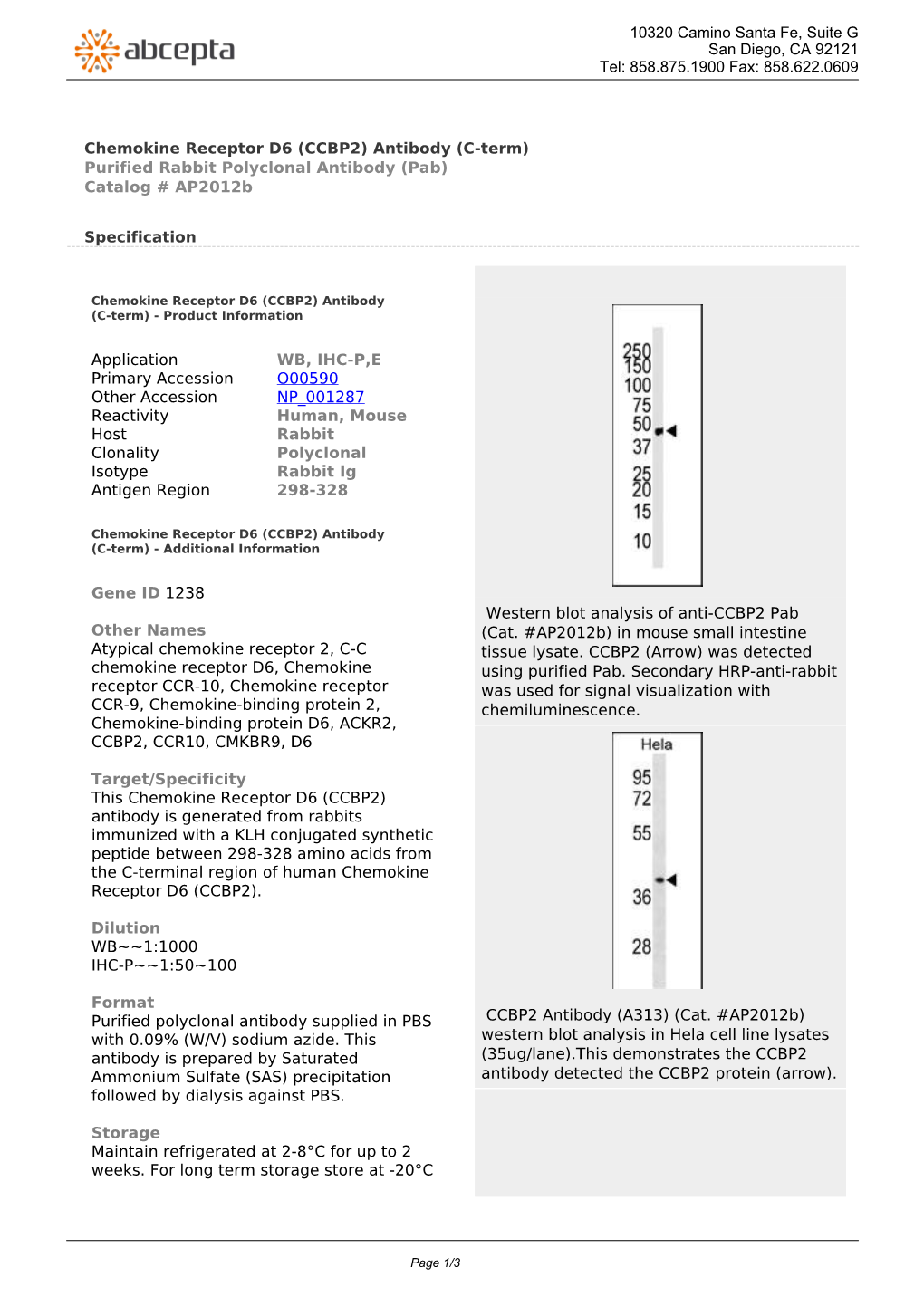 Chemokine Receptor D6 (CCBP2) Antibody (C-Term) Purified Rabbit Polyclonal Antibody (Pab) Catalog # Ap2012b