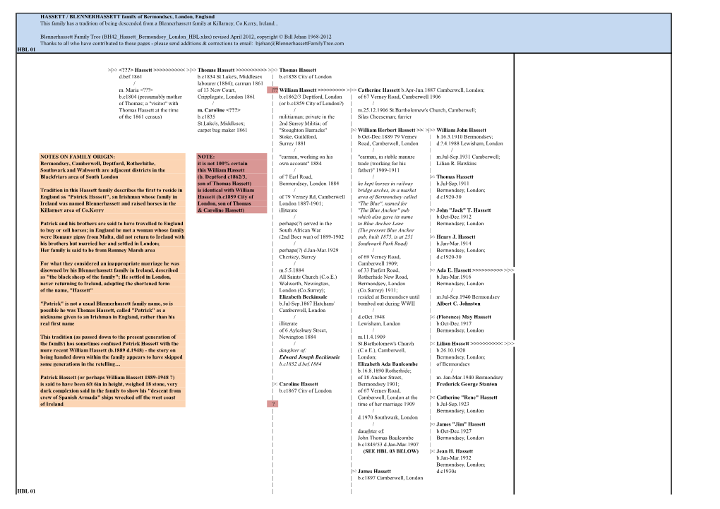 HASSETT / BLENNERHASSETT Family of Bermondsey, London, England This Family Has a Tradition of Being Descended from a Blennerhass