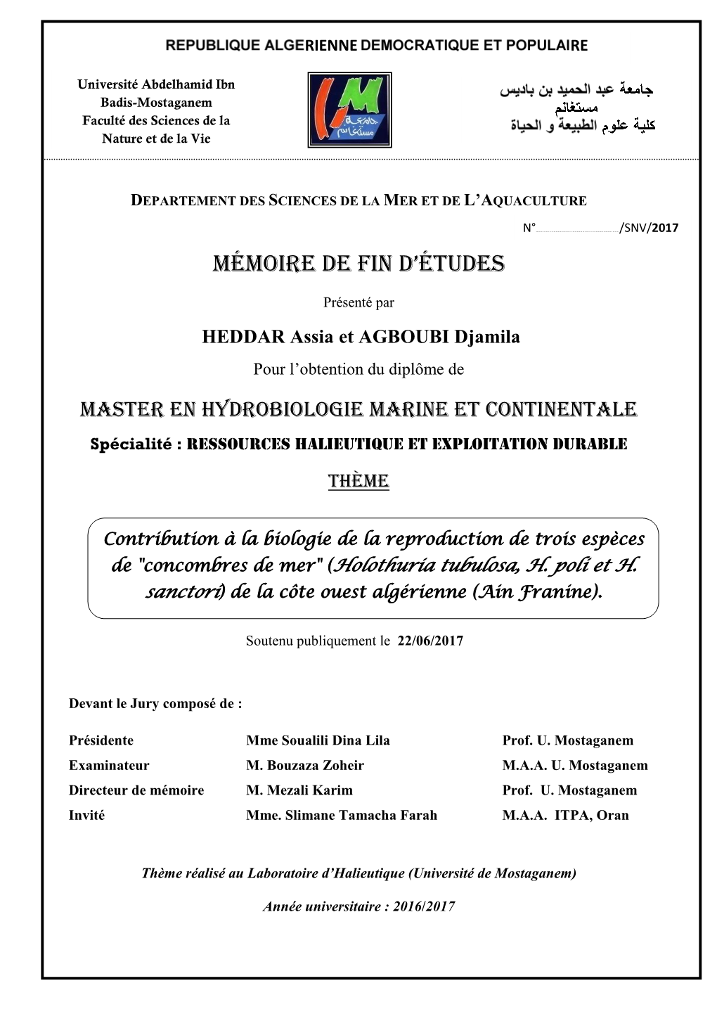 Mémoire De Fin D'études