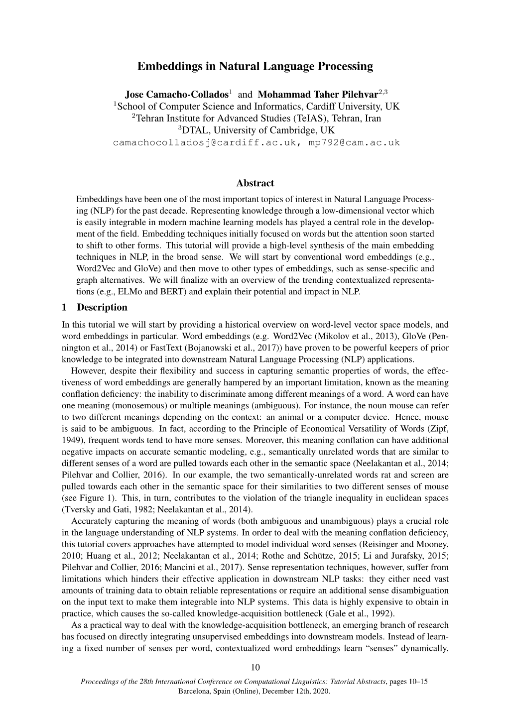 Embeddings in Natural Language Processing