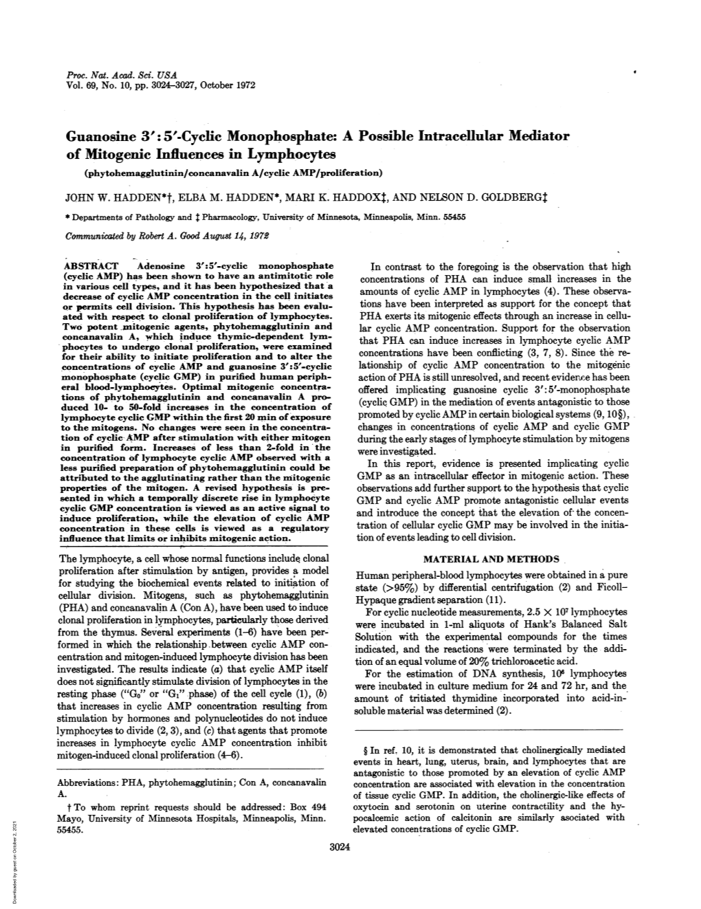 Guanosine 3': 5'-Cyclic Monophosphate: a Possible Intracellular Mediator of Mitogenic Influences in Lymphocytes