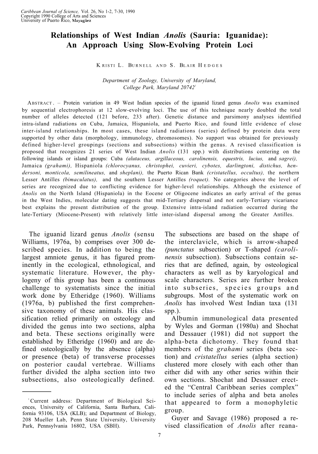 Relationships of West Indian Anolis (Sauria: Iguanidae): an Approach Using Slow-Evolving Protein Loci