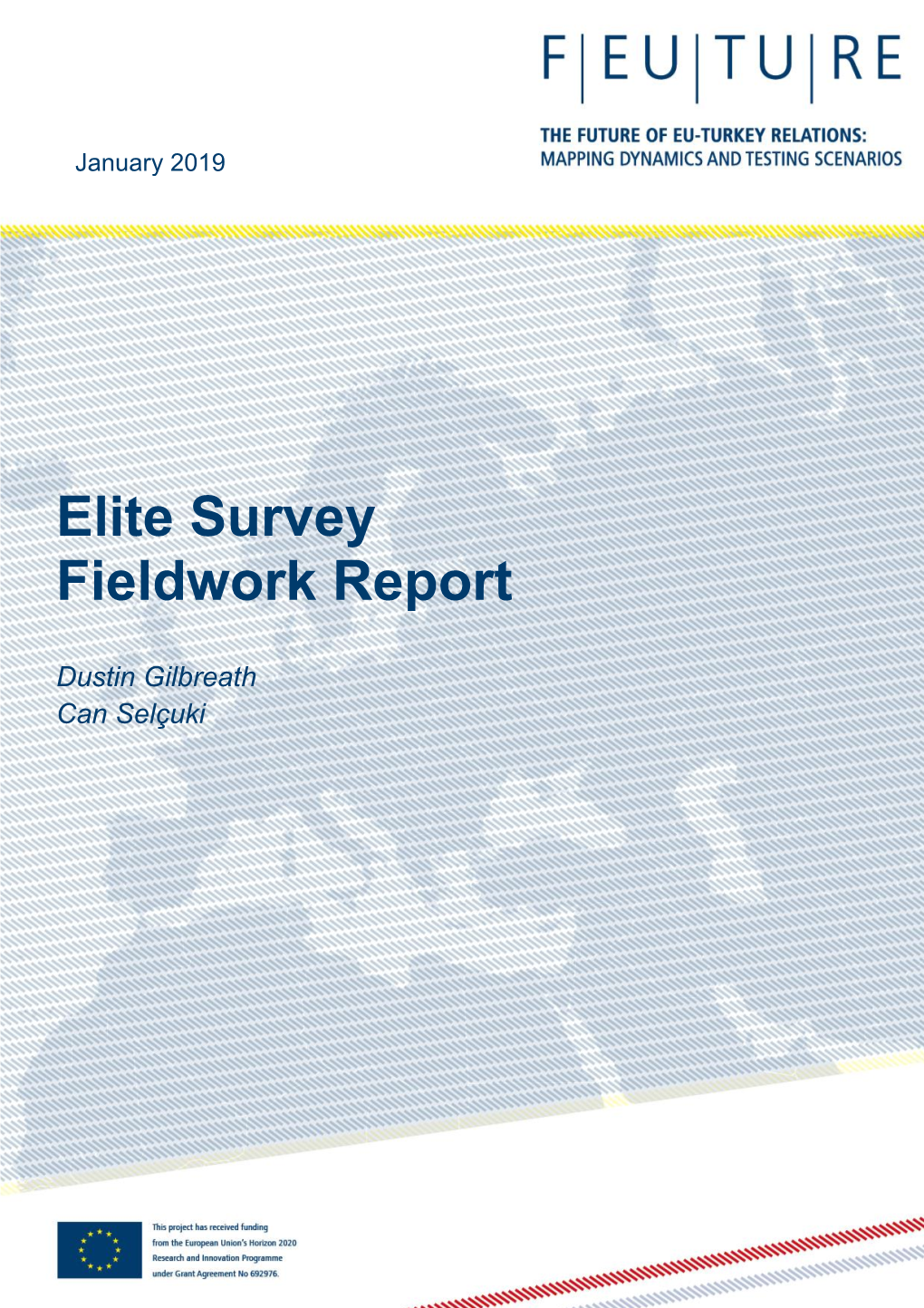 Elite Survey Fieldwork Report