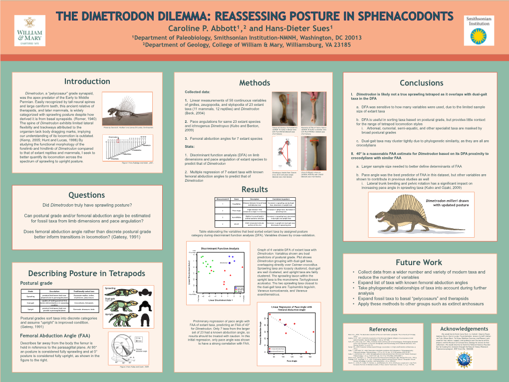 THE DIMETRODON DILEMMA: REASSESSING POSTURE in SPHENACODONTS Caroline P